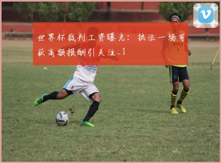世界杯裁判工资曝光:执法一场可获高额报酬引关注_1
