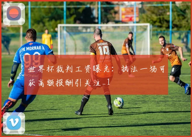 世界杯裁判工资曝光:执法一场可获高额报酬引关注_1